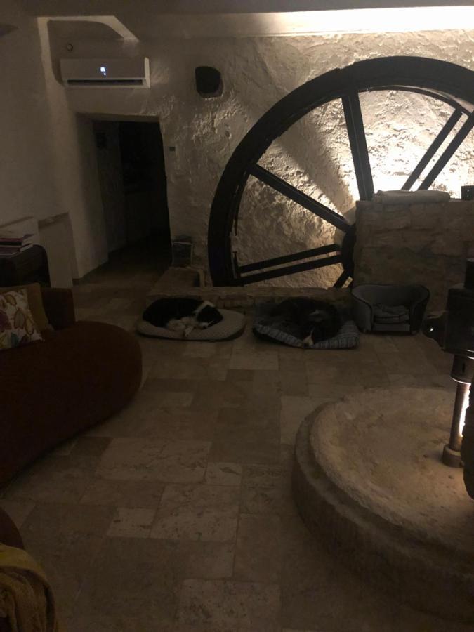 Moulin A Huile Chambre D'Hotes Vins-sur-Caramy Kültér fotó